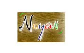 nayan