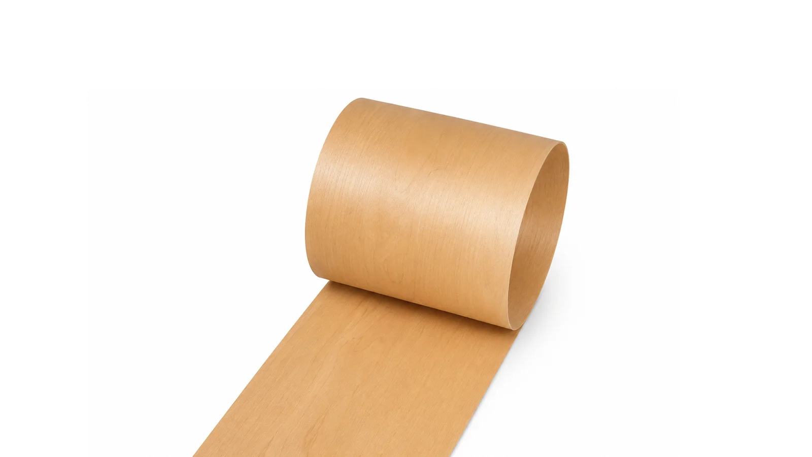 Beech Veneer